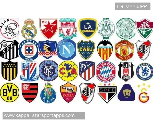 足球旗徽的设计与文化内涵探讨及其在全球足球赛事中的重要性分析